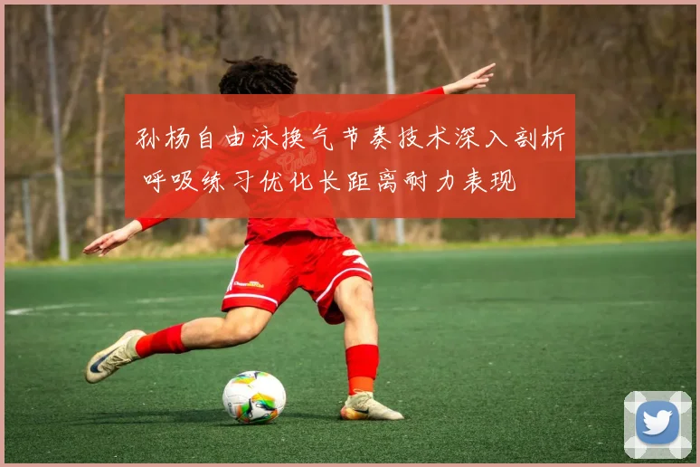 孙杨自由泳换气节奏技术深入剖析 呼吸练习优化长距离耐力表现